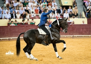 CPQ_9377