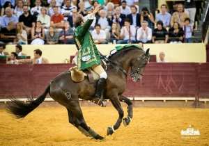 CPQ_9569