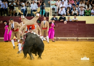 CPQ_9494
