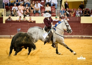 CPQ_1356