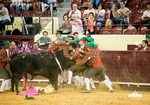 CPQ_1733 2