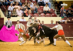 CPQ_1425