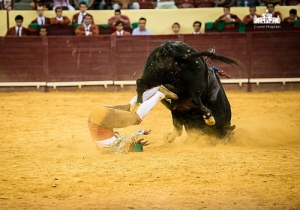 CPQ_1628