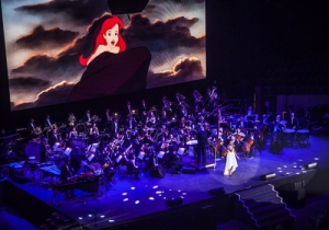 CAMPO PEQUENO DISNEY IN CONCERT LFO 2015