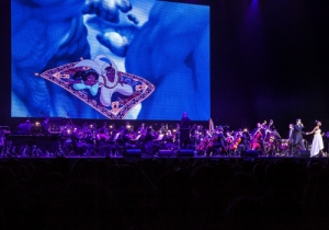 CAMPO PEQUENO DISNEY IN CONCERT LFO 2015