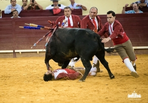CPQ_3592 5