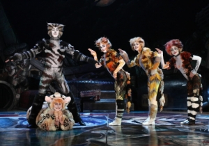 CAMPO PEQUENO MUSICAL CATS