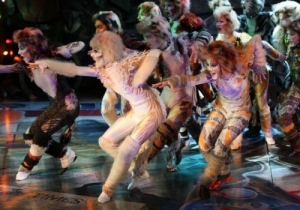 CAMPO PEQUENO MUSICAL CATS