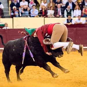 Pega. Forcados de Lisboa