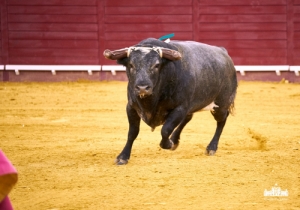 20160519 CPQ 1 cópia