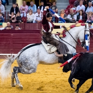 LEA VICENS
