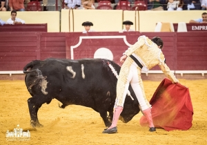 Campo Pequeno 14 Julho
