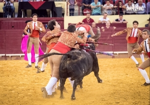 50 Anos Alternativa Luís Miguel da Veiga