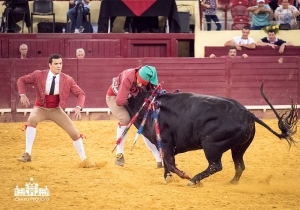50 Anos Alternativa Luís Miguel da Veiga