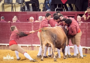50 Anos Alternativa Luís Miguel da Veiga 