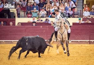 50 Anos Alternativa Luís Miguel da Veiga