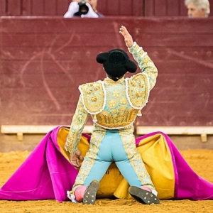 Novos Toureiros