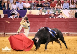 EXTRAORDINÁRIA CORRIDA FLASH