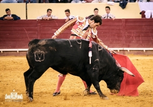 EXTRAORDINÁRIA CORRIDA FLASH