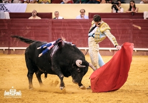 EXTRAORDINÁRIA CORRIDA FLASH