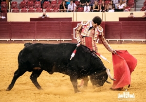 EXTRAORDINÁRIA CORRIDA FLASH