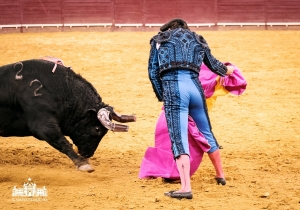 CORRIDA DE GALA