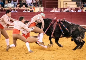 CORRIDA DE GALA
