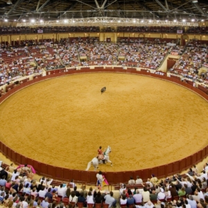 CAMPO PEQUENO TV