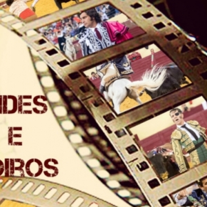 CAMPO PEQUENO TV