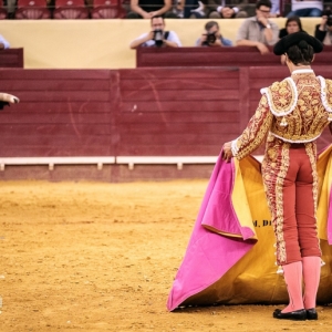 CAMPO PEQUENO TV