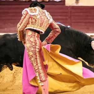 CAMPO PEQUENO TV