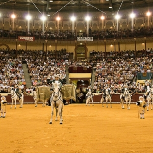 CAMPO PEQUENO TV