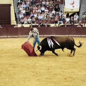 CAMPO PEQUENO TV