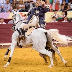 CAMPO PEQUENO TV