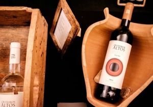 MERCADO GOURMET 2017