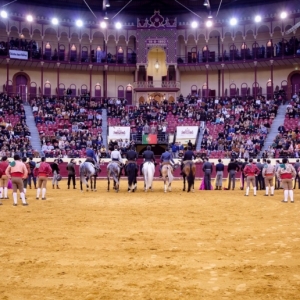 CAMPO PEQUENO TV