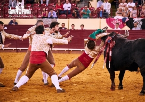 CORRIDA 8 JUNHO