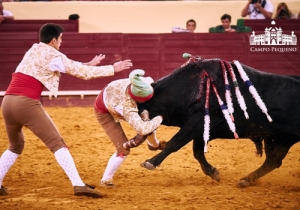 CORRIDA 8 JUNHO
