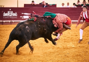 CORRIDA 8 JUNHO