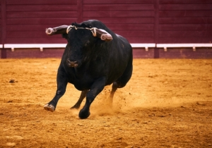 20170629CPQCORRIDAFH019