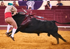 20170629CPQCORRIDAFH047