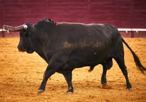 20170629CPQCORRIDAFH053