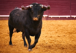 20170629CPQCORRIDAFH091