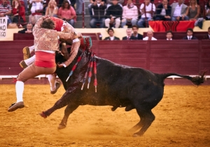 20170629CPQCORRIDAFH110