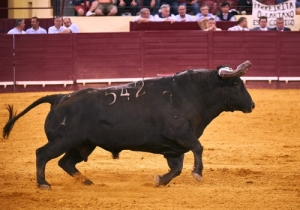 20170629CPQCORRIDAFH122