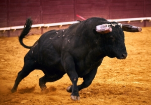 20170629CPQCORRIDAFH164