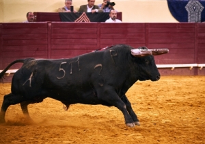 20170629CPQCORRIDAFH184