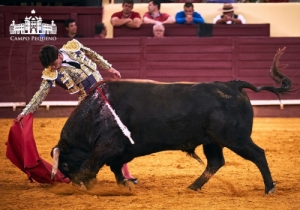 20170706CPQCORRIDAFH178