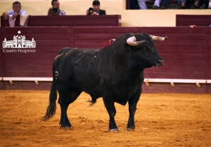 20170706CPQCORRIDAFH181