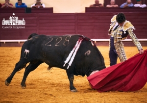 20170706CPQCORRIDAFH243